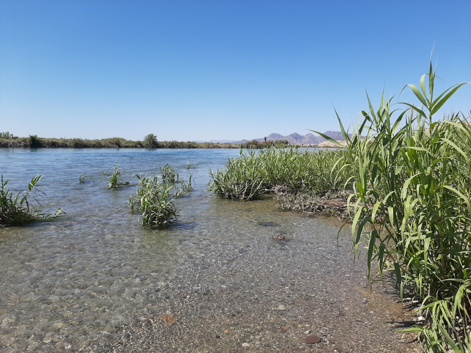 .11ac Clearred Lot Part 1/2