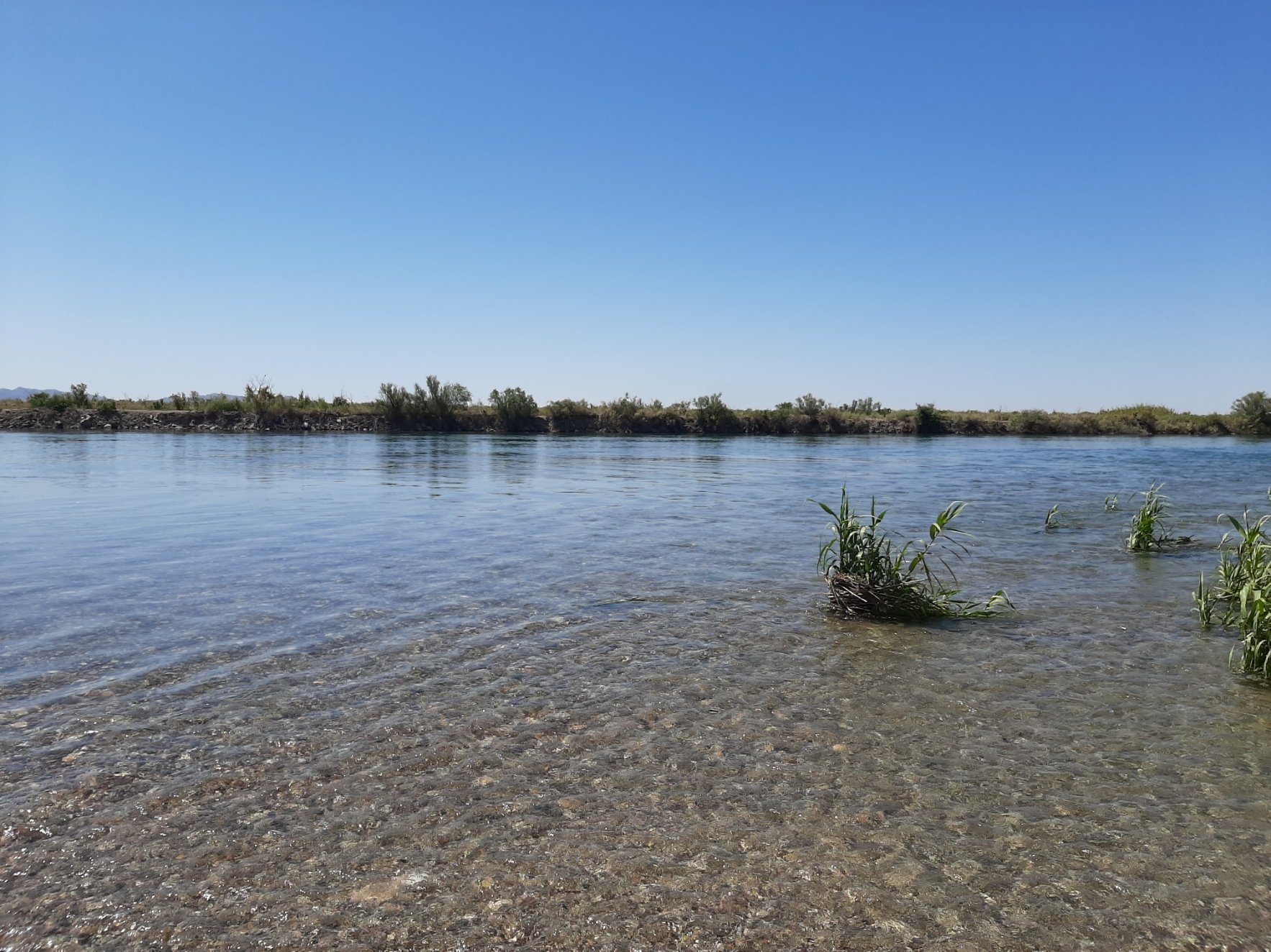 .15ac Cleared Lot Part 1/2